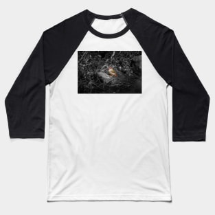 Red-browned Finch_10499A Baseball T-Shirt